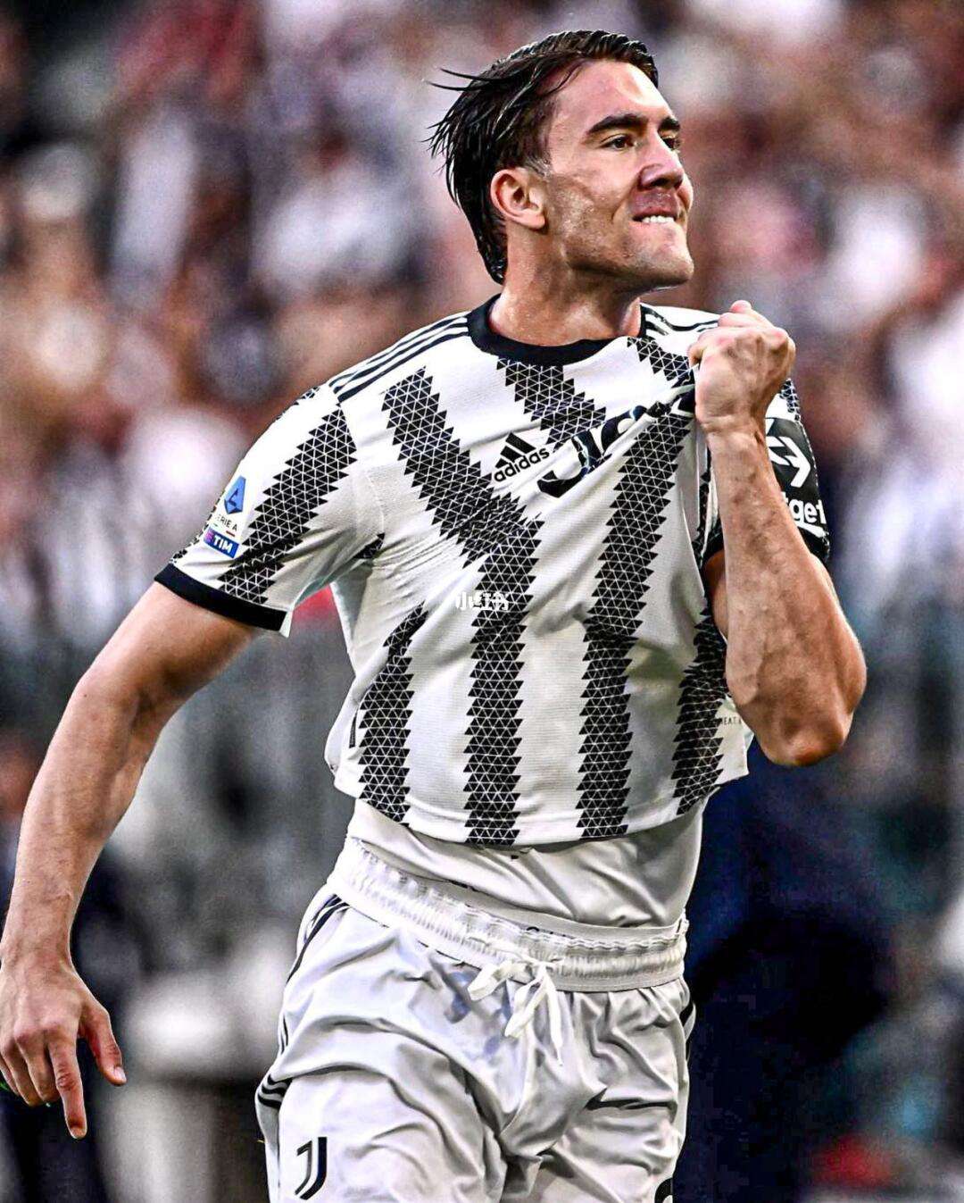 开云官网-关于从华盛顿奇才围绕法国杯状态回暖到浙江稠州豪取连胜备战意大利杯，Rookie在尤文图斯比赛中突破纪录的信息